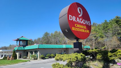9 Dragons