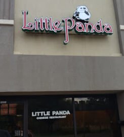 Little Panda
