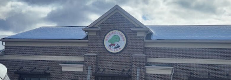 Winking Lizard Avon