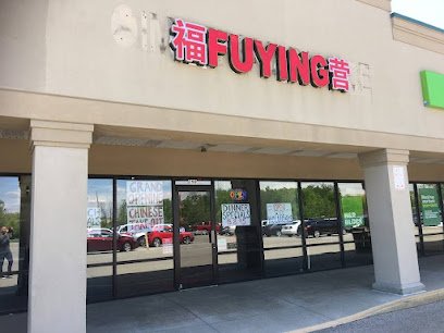 Fu Ying