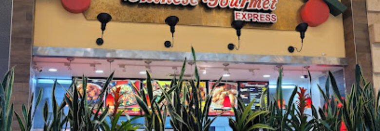 Chinese Gourmet Express