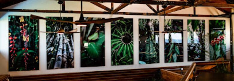 Papa Kona Restaurant & Bar