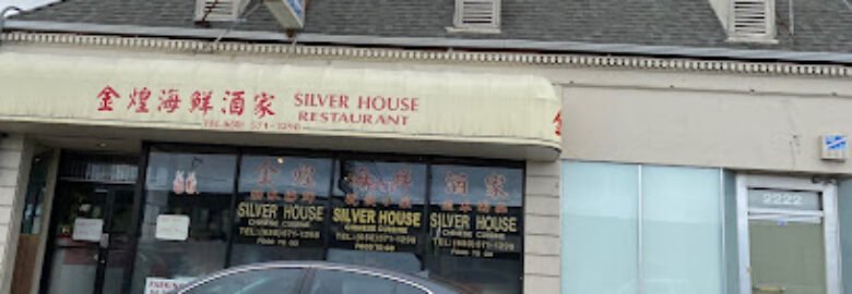 Silver House