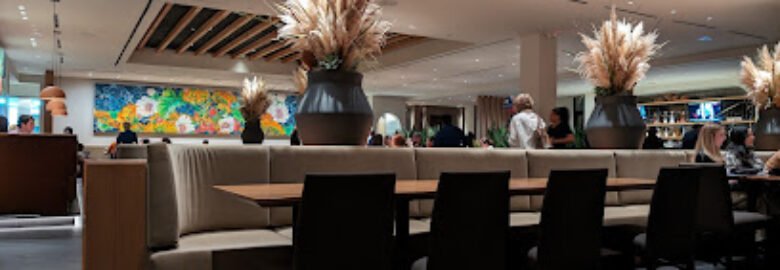 Mi Cocina