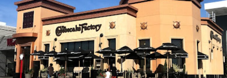 The Cheesecake Factory