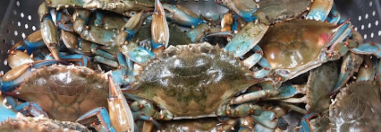 Seaside Seafood