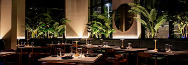 XO Brasserie