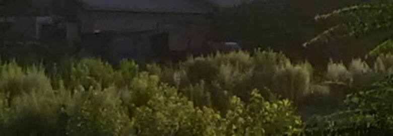The Ranch House