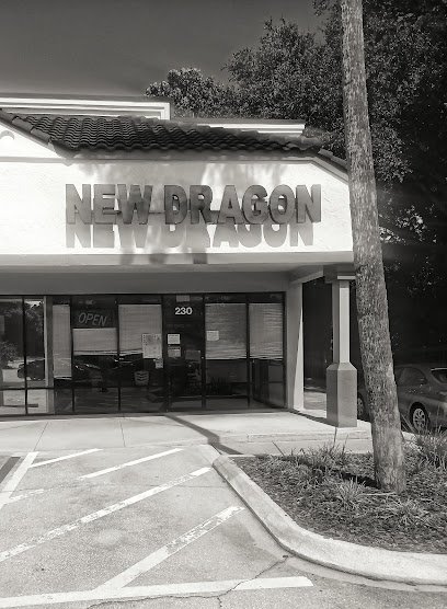 New Dragon
