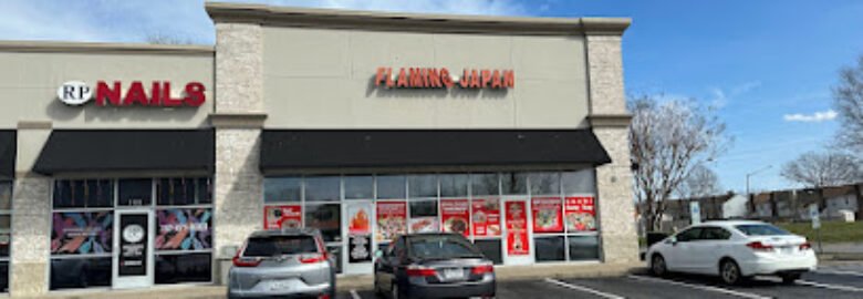 Flaming Japan