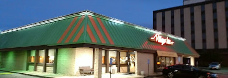 Village Inn