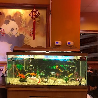 China House Buffet
