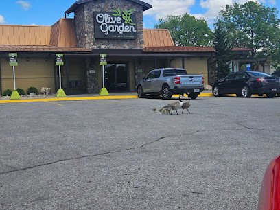 Olive Garden Italian Restaurant