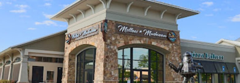 Mellow Mushroom Acworth