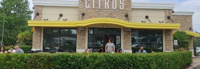 Citrus Breakfast and Lunch