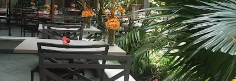 Terrace 555 Restaurant & Bar