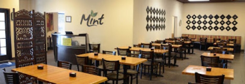 Mint Indian & Greek Lunch Buffet