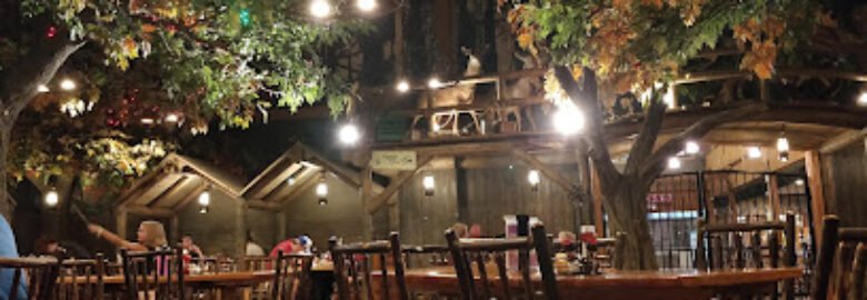 Camp Critter Bar & Grill