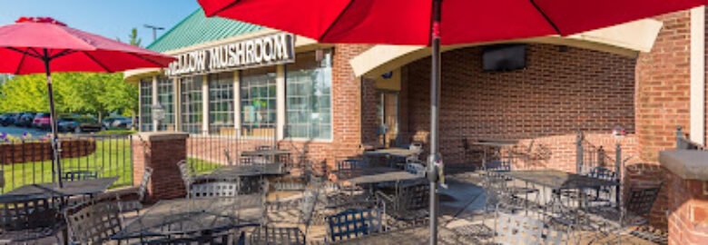 Mellow Mushroom Farragut