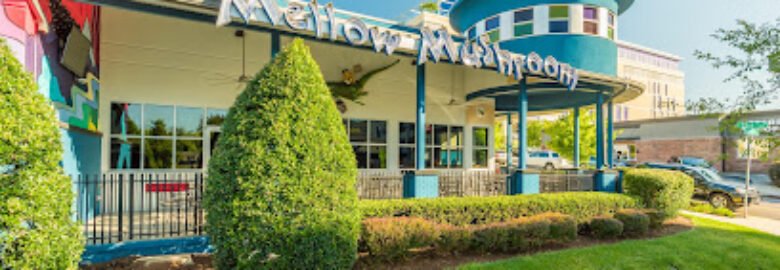 Mellow Mushroom Knoxville