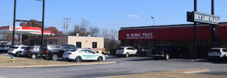 Ming Tree