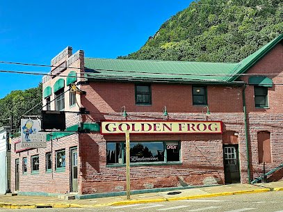 The Golden Frog