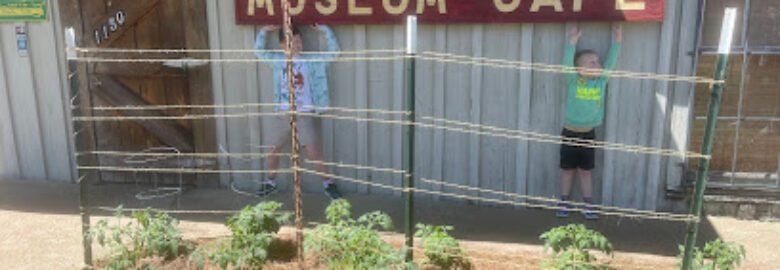 George’s Museum Cafe
