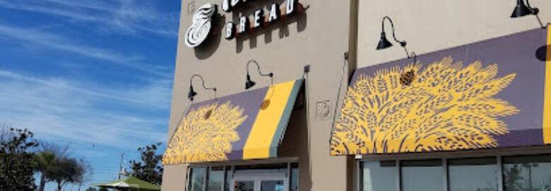 Panera Bread