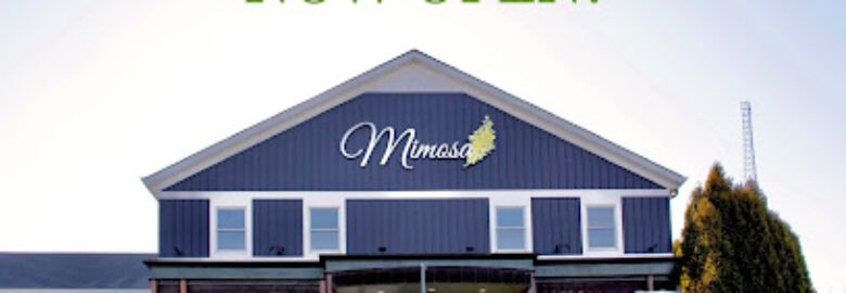Mimosa