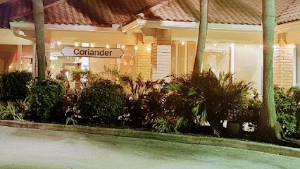 Coriander