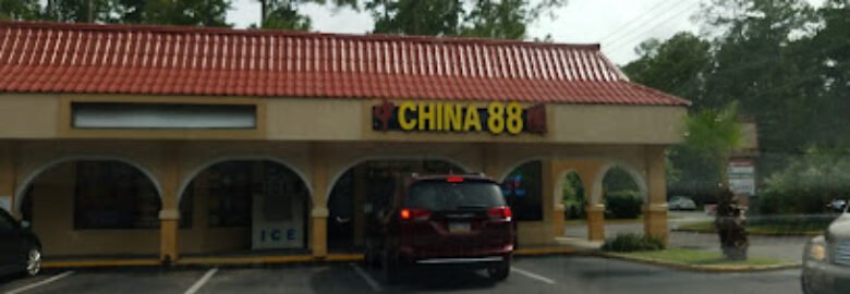 China 88